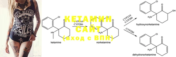 PSILOCYBIN Богородицк