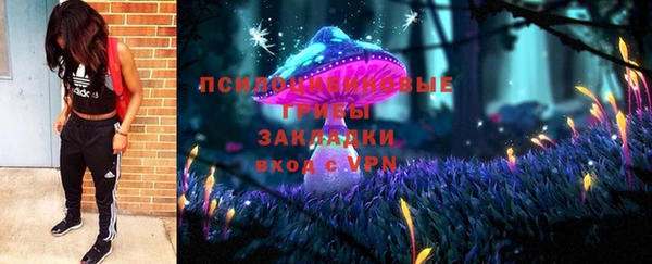 PSILOCYBIN Богородицк