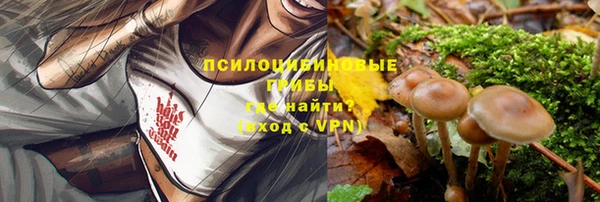 PSILOCYBIN Богородицк