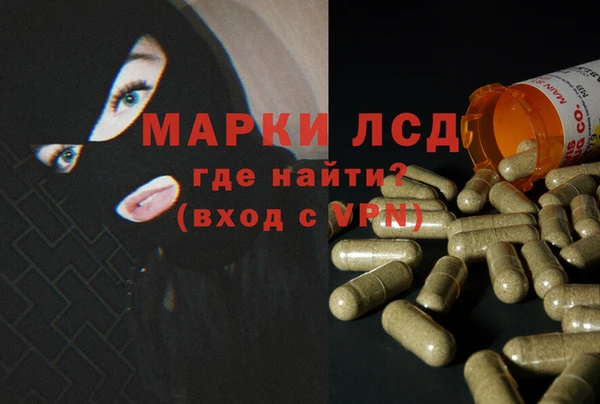PSILOCYBIN Богородицк
