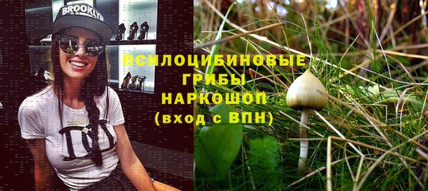 хмурый Богданович