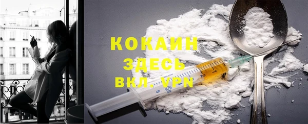PSILOCYBIN Богородицк