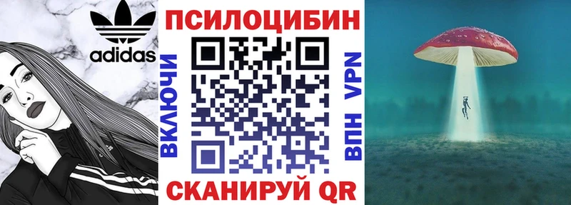 Псилоцибиновые грибы Cubensis  Нарьян-Мар 